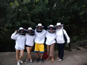 To bee or not to bee-n in nature